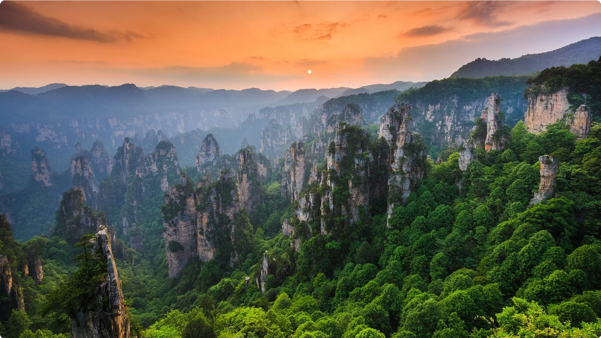 China 19