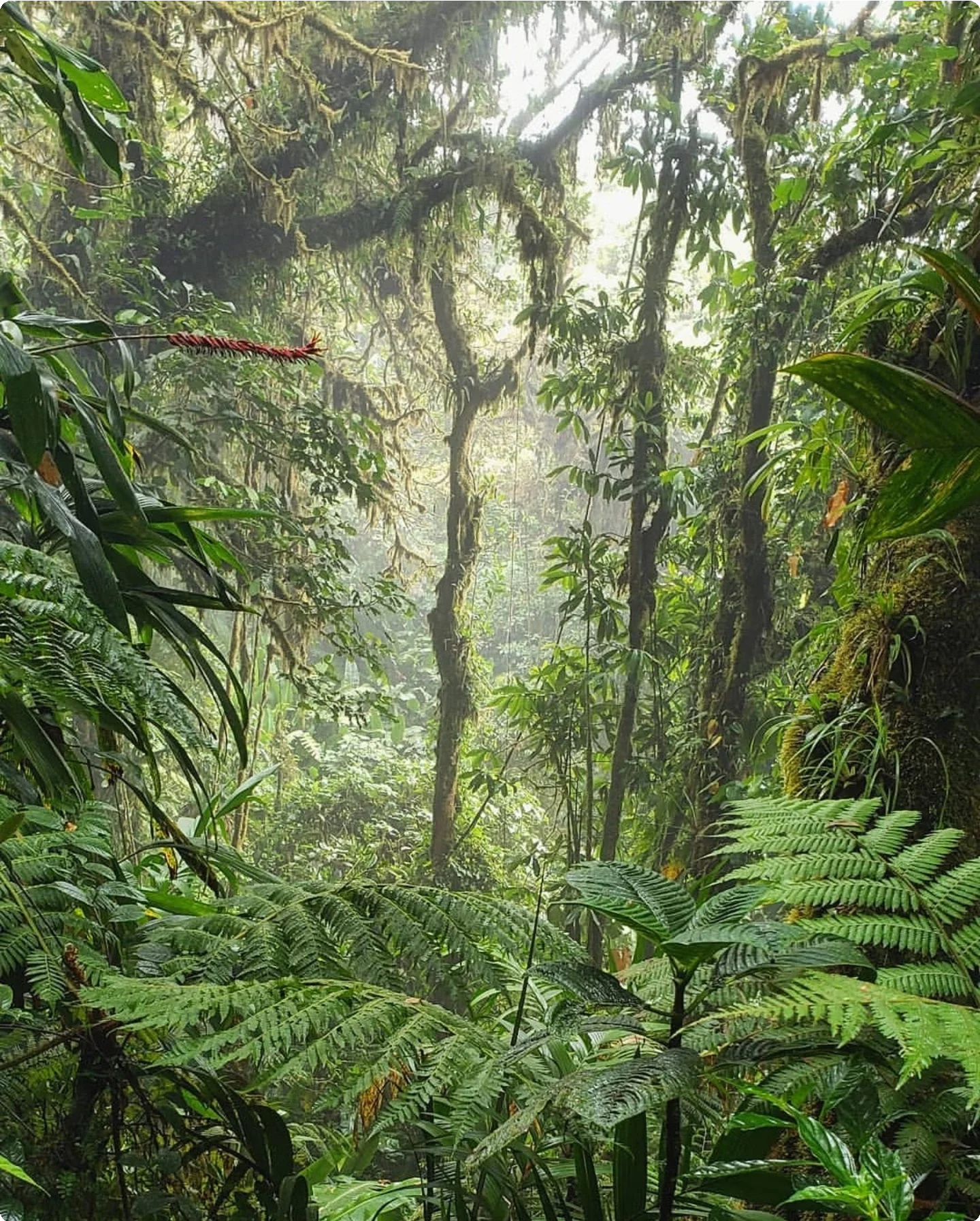 Costa Rica 1