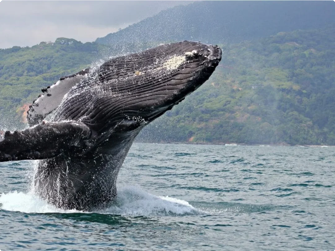Costa Rica 19