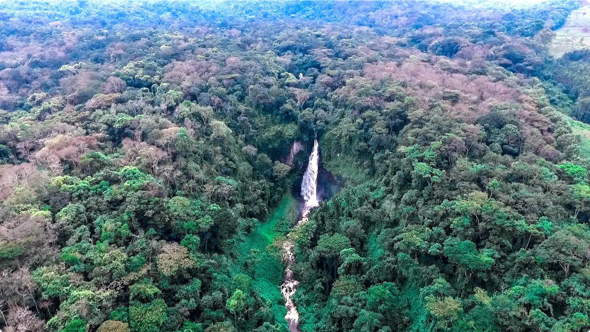 Democratic Republic of Congo 11