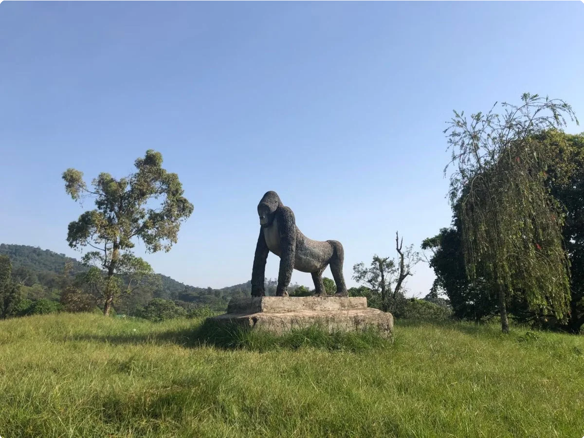 Democratic Republic of Congo 12