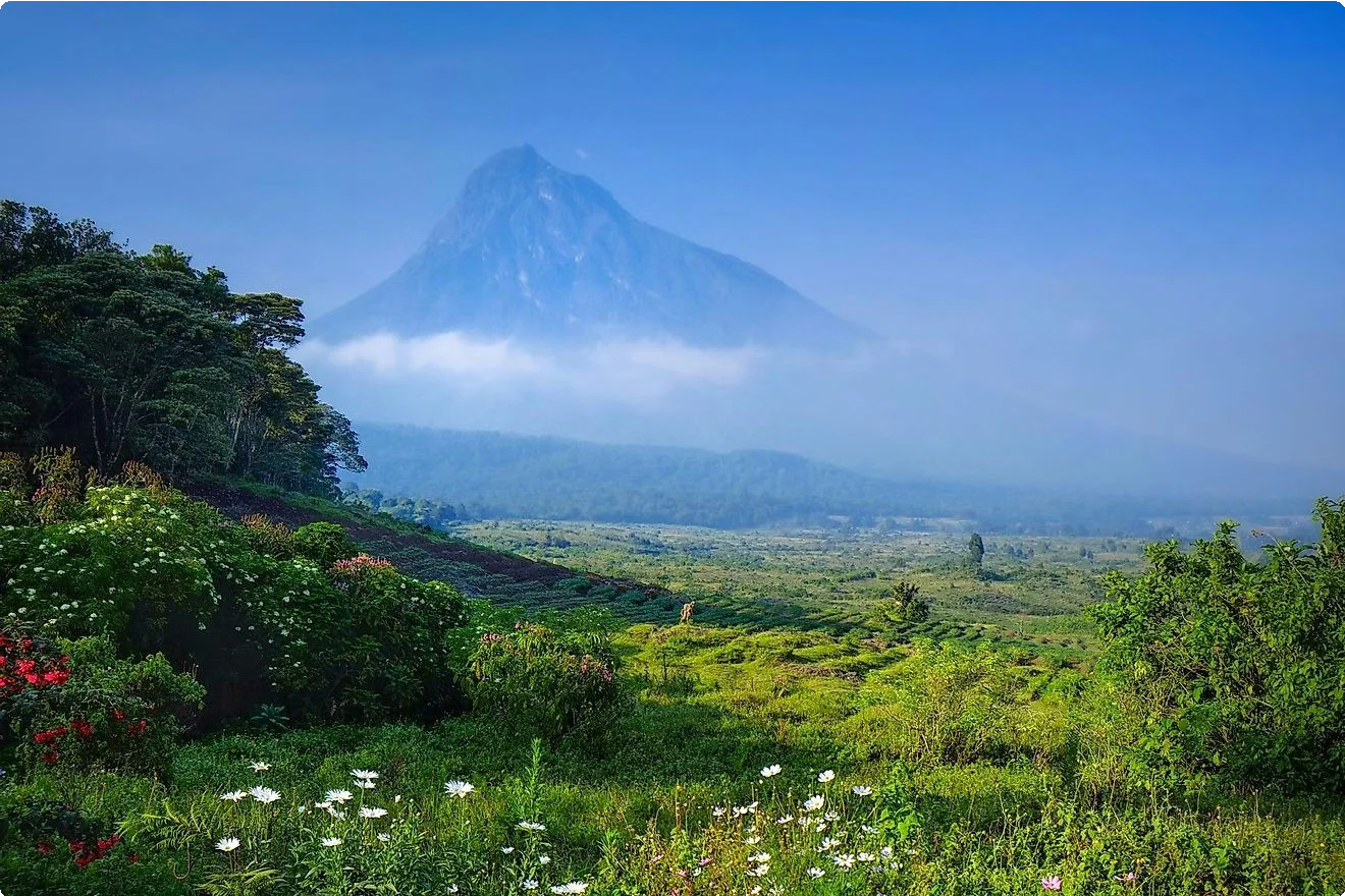 Democratic Republic of Congo 4