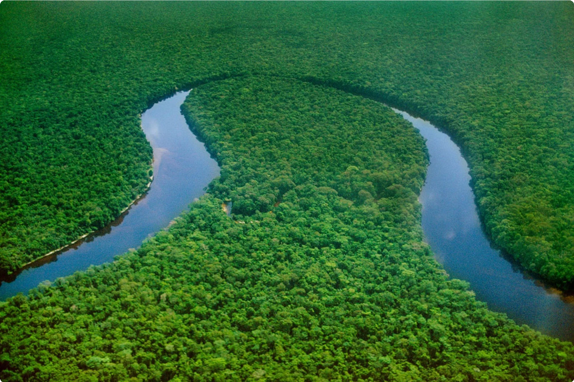 Democratic Republic of Congo 6