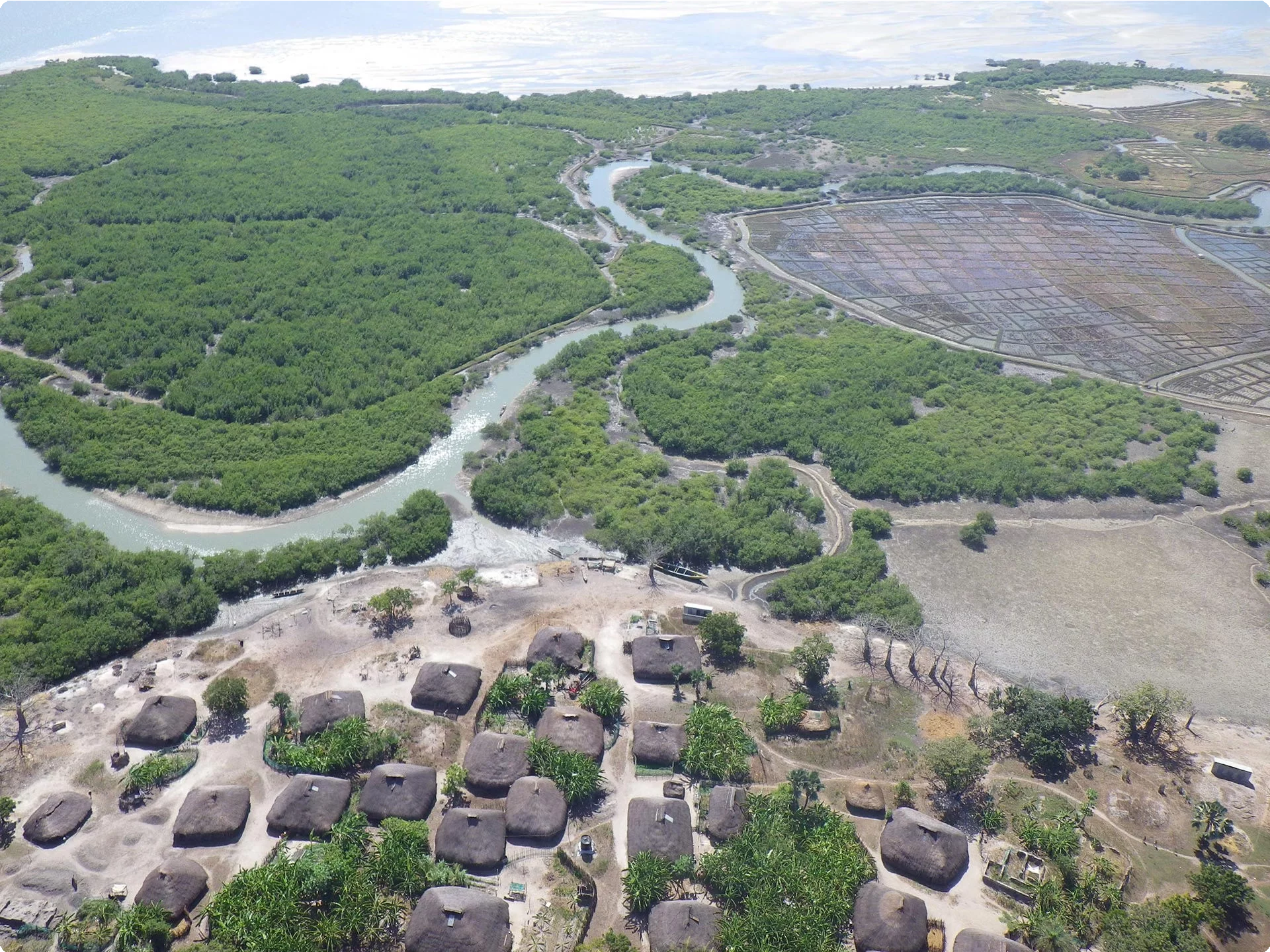 Guinea-Bissau 16