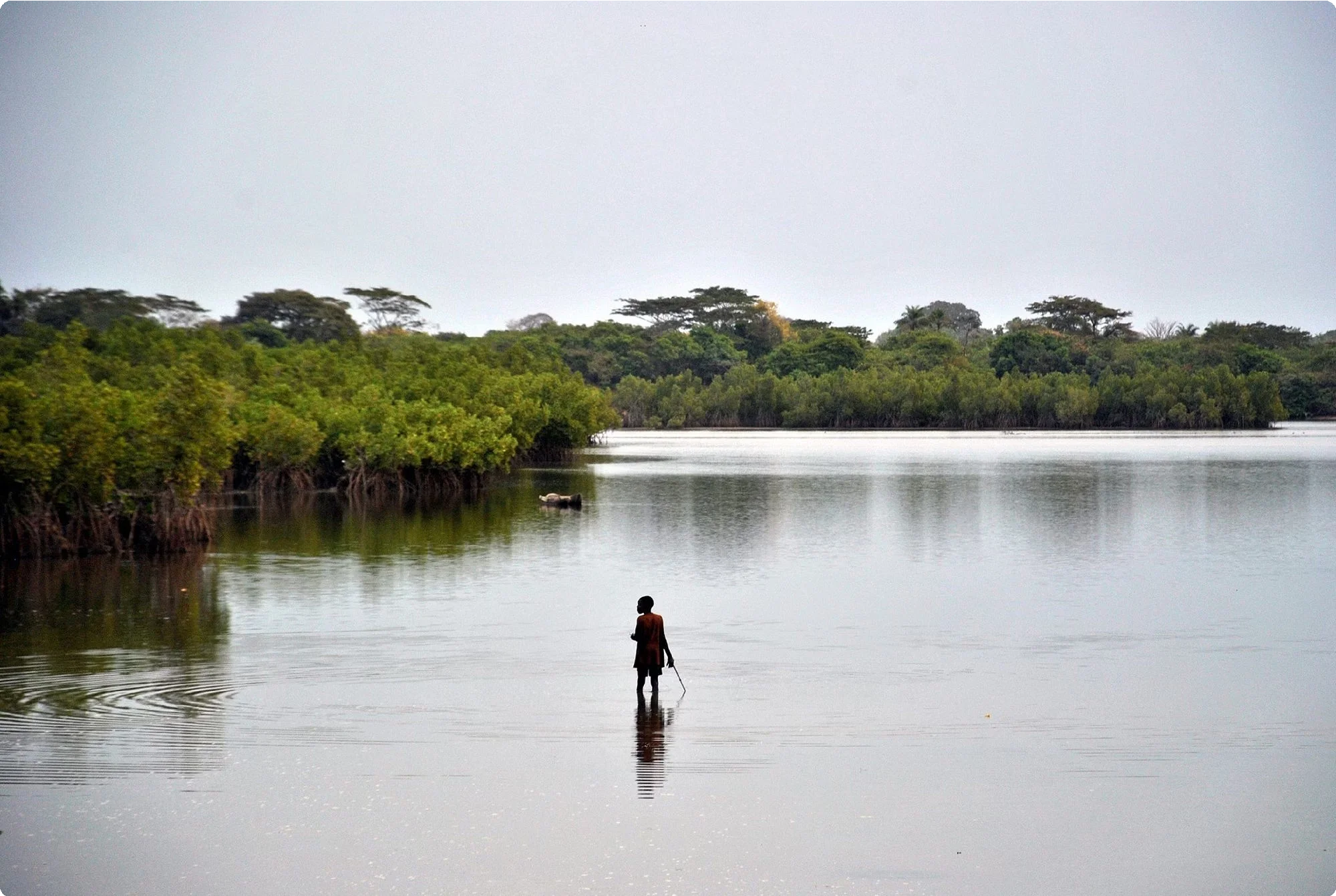 Guinea-Bissau 23