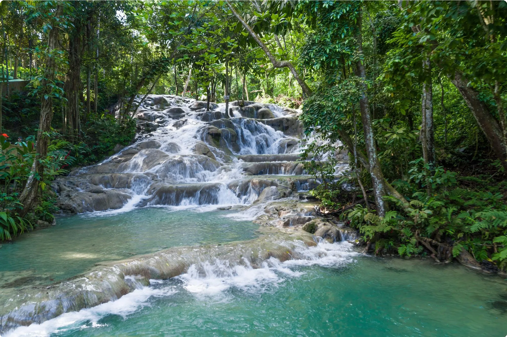 Jamaica 18