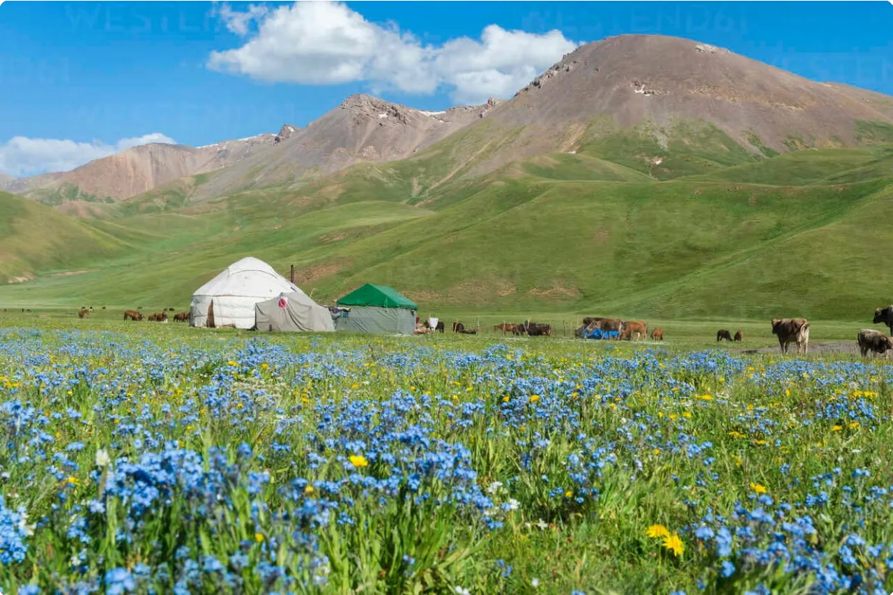 Kyrgyzstan 15