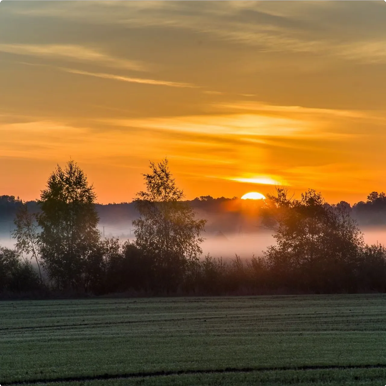 Latvia 1