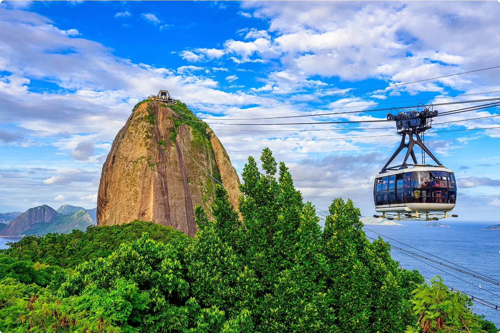 Brazil 8
