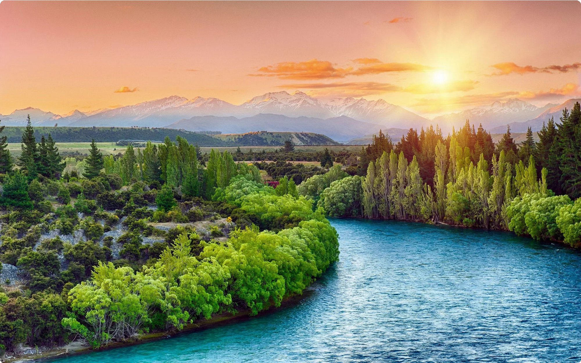 New Zealand 1