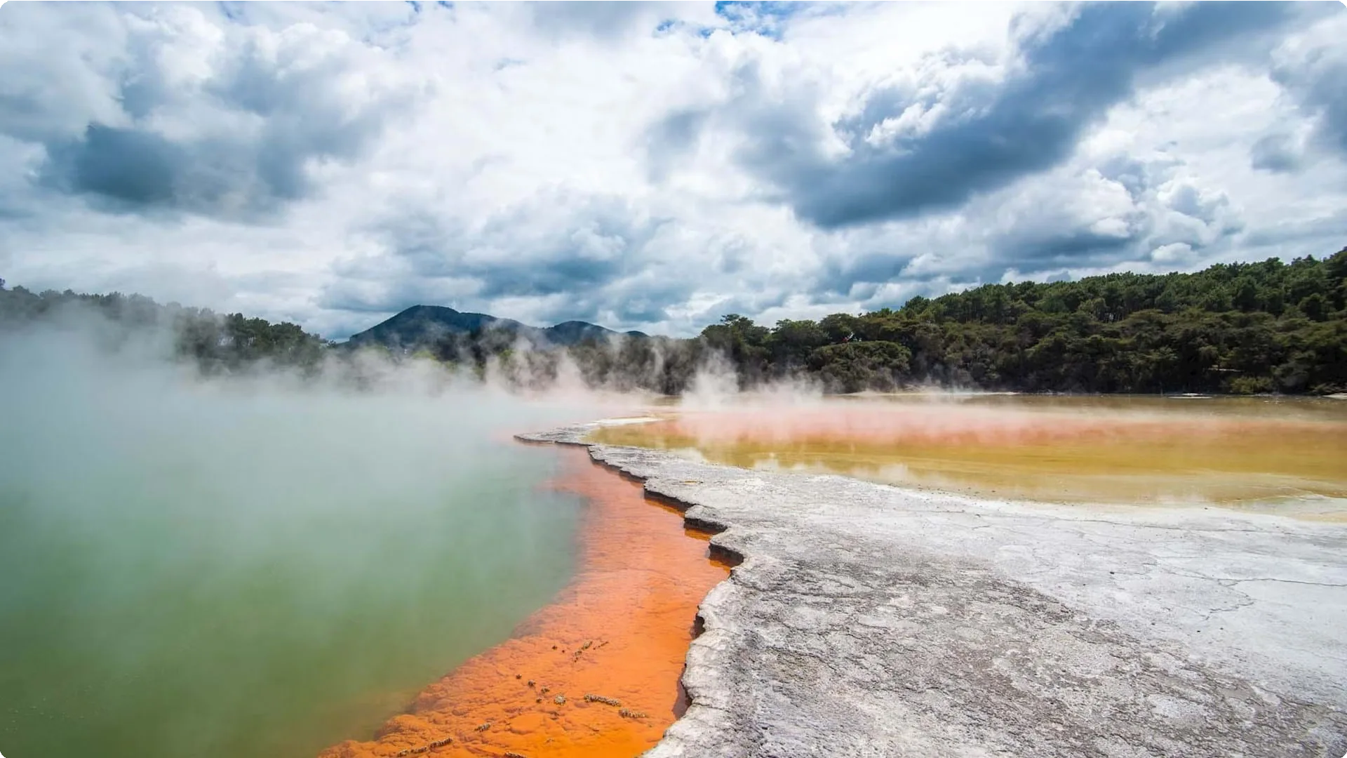 New Zealand 20