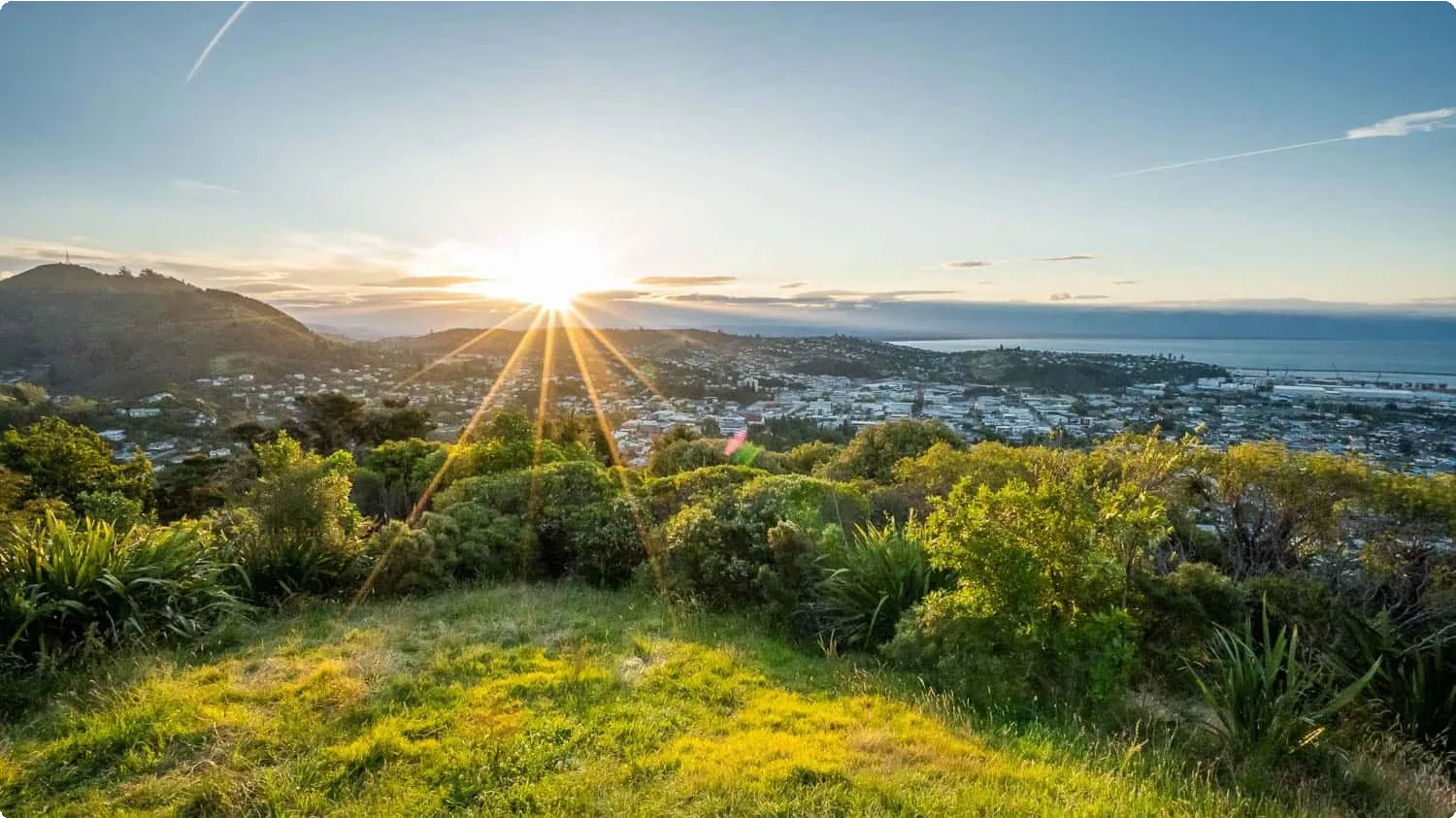 New Zealand 24