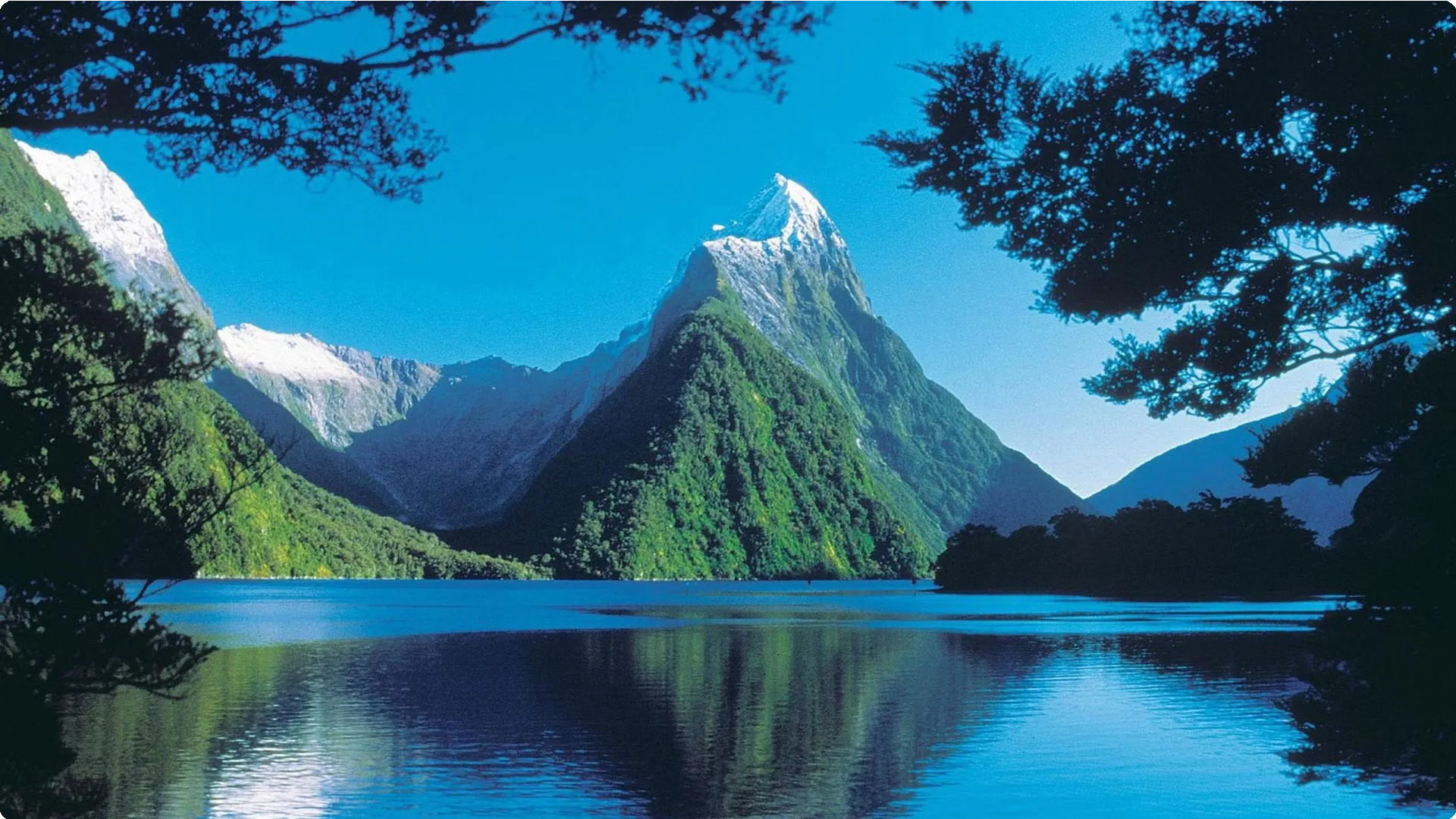 New Zealand 25
