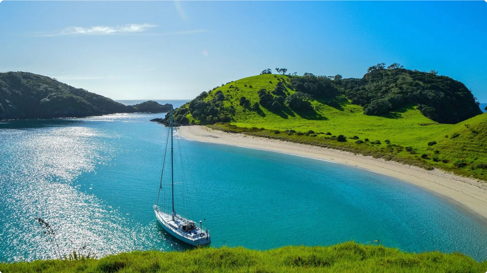 New Zealand 26