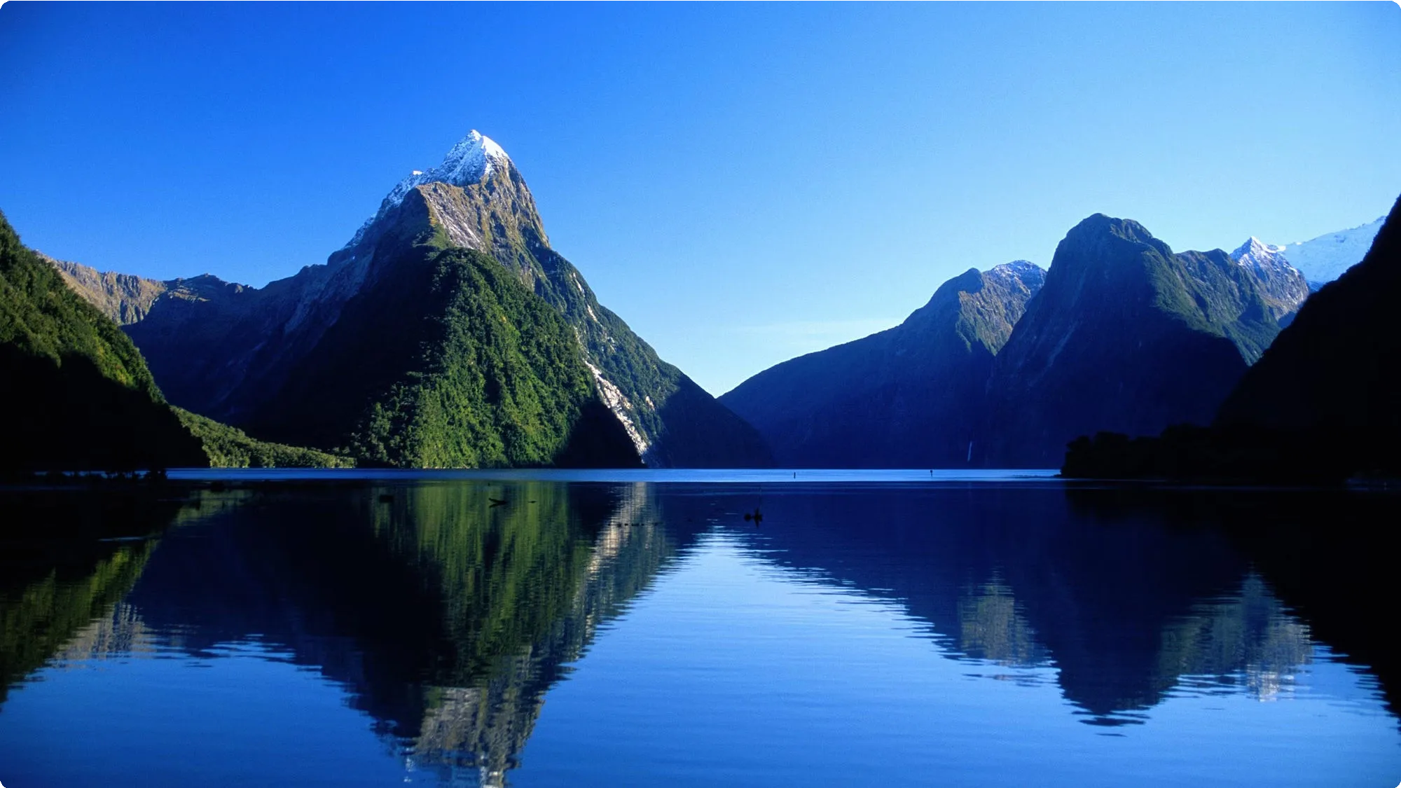 New Zealand 29