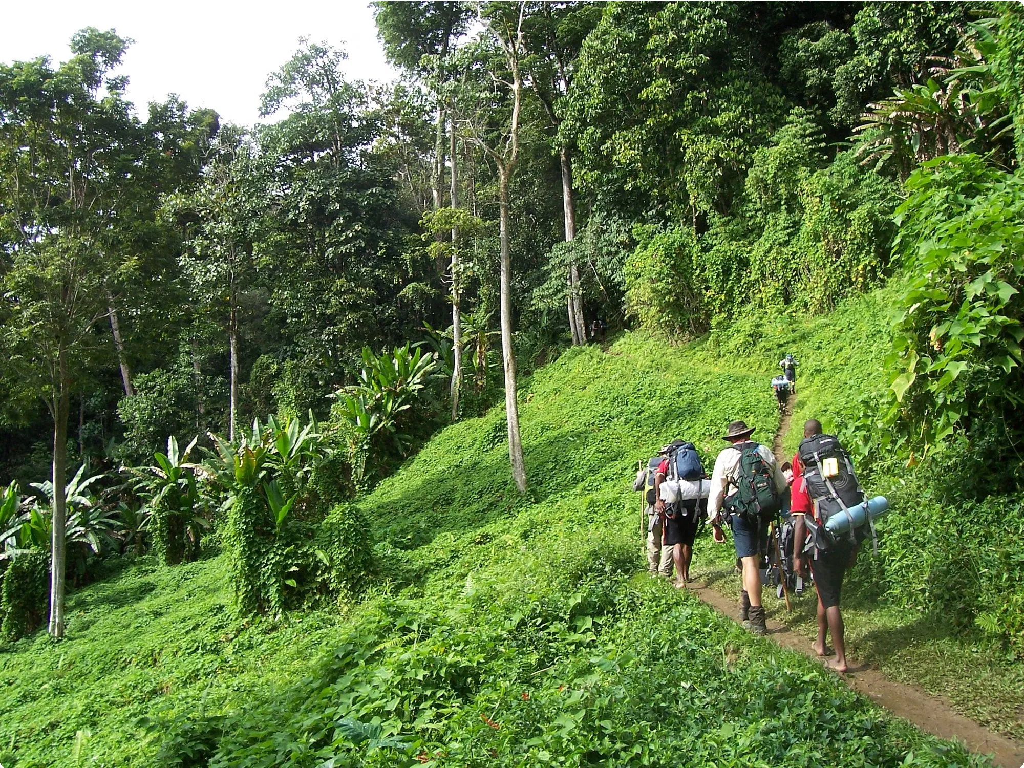 Papua New Guinea 15