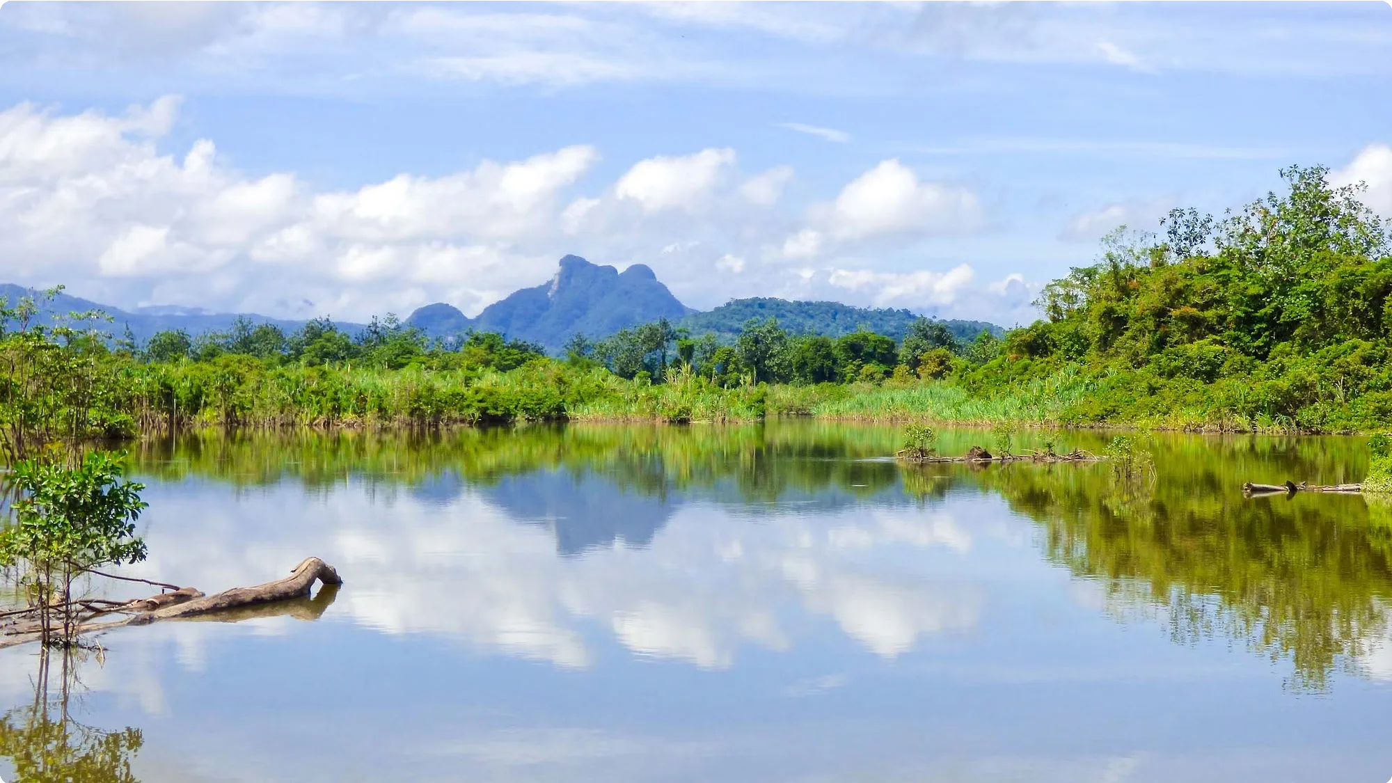 Papua New Guinea 17
