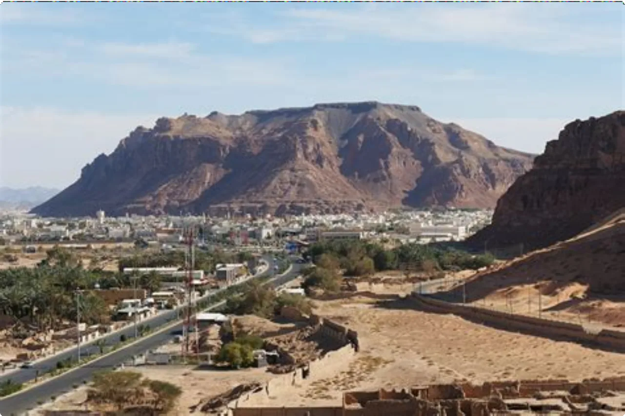 Saudi Arabia 20