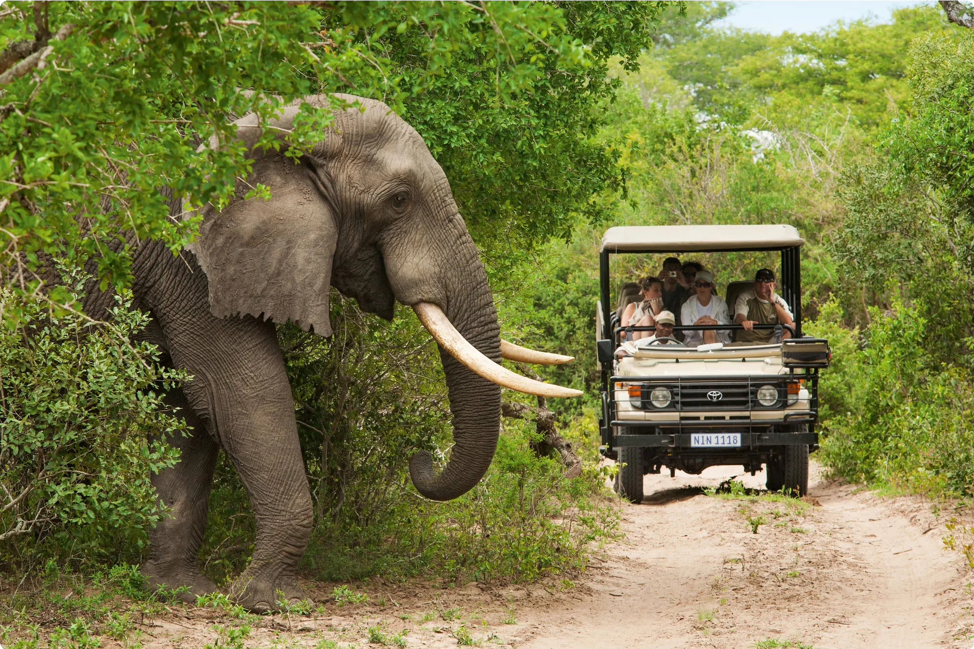 South Africa 10