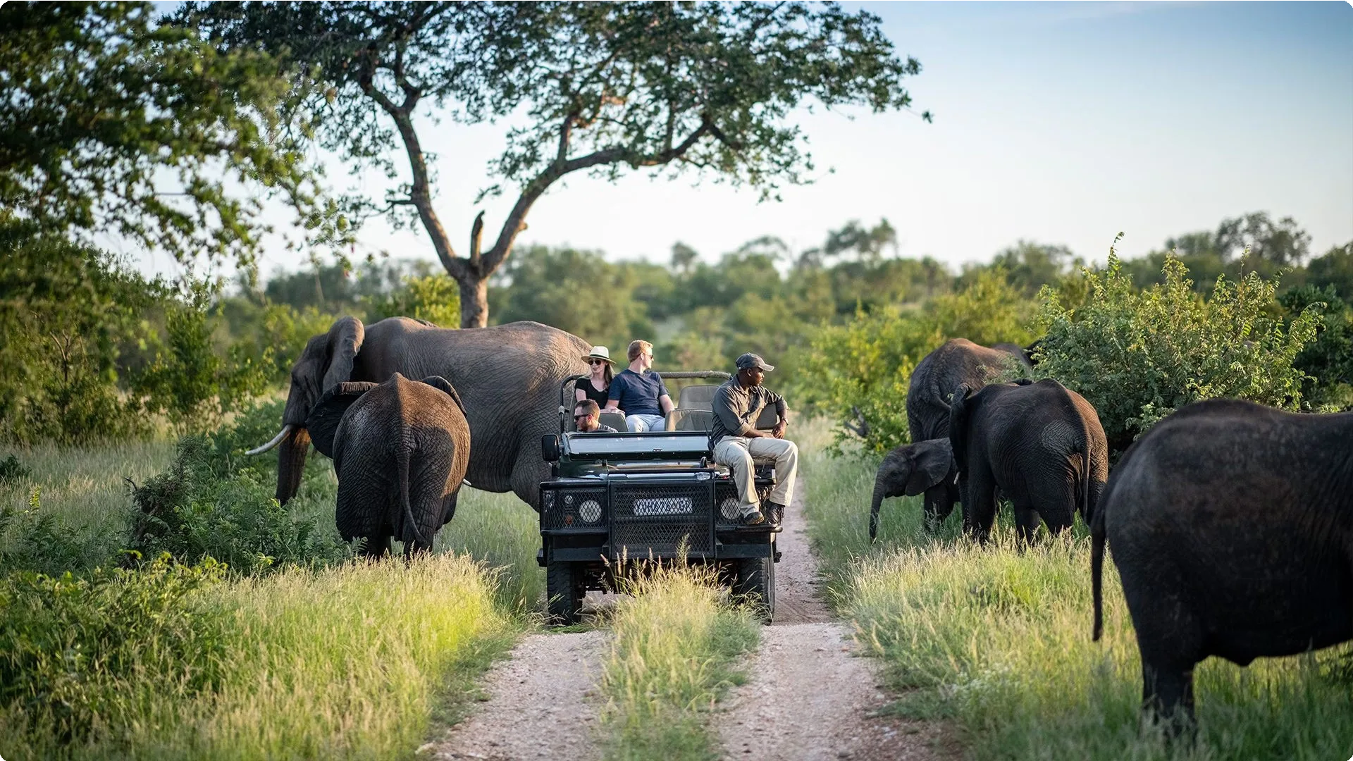 South Africa 19