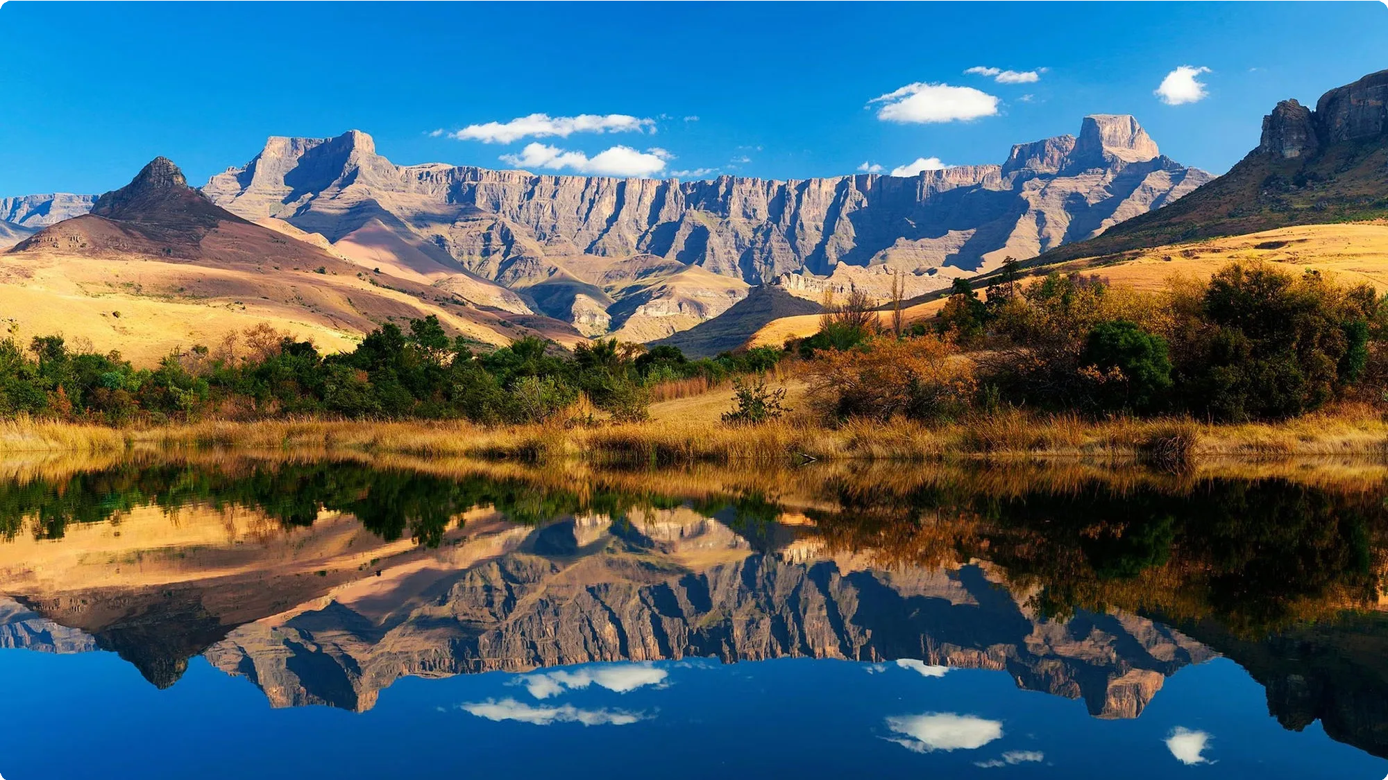 South Africa 22