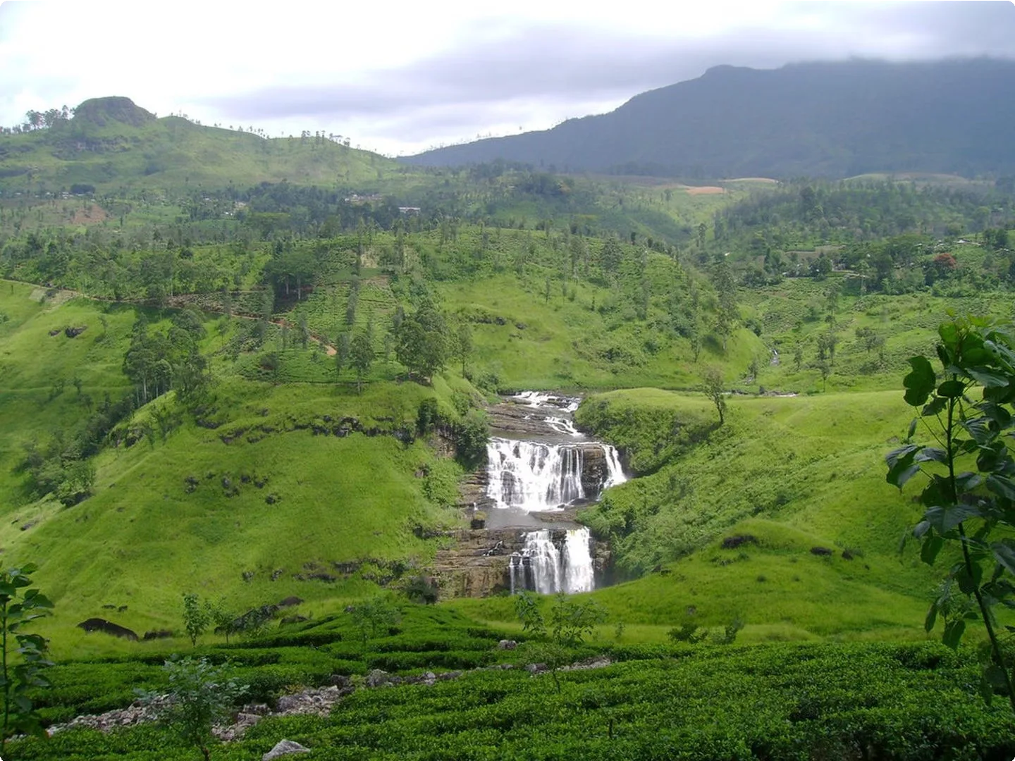 Sri Lanka 1