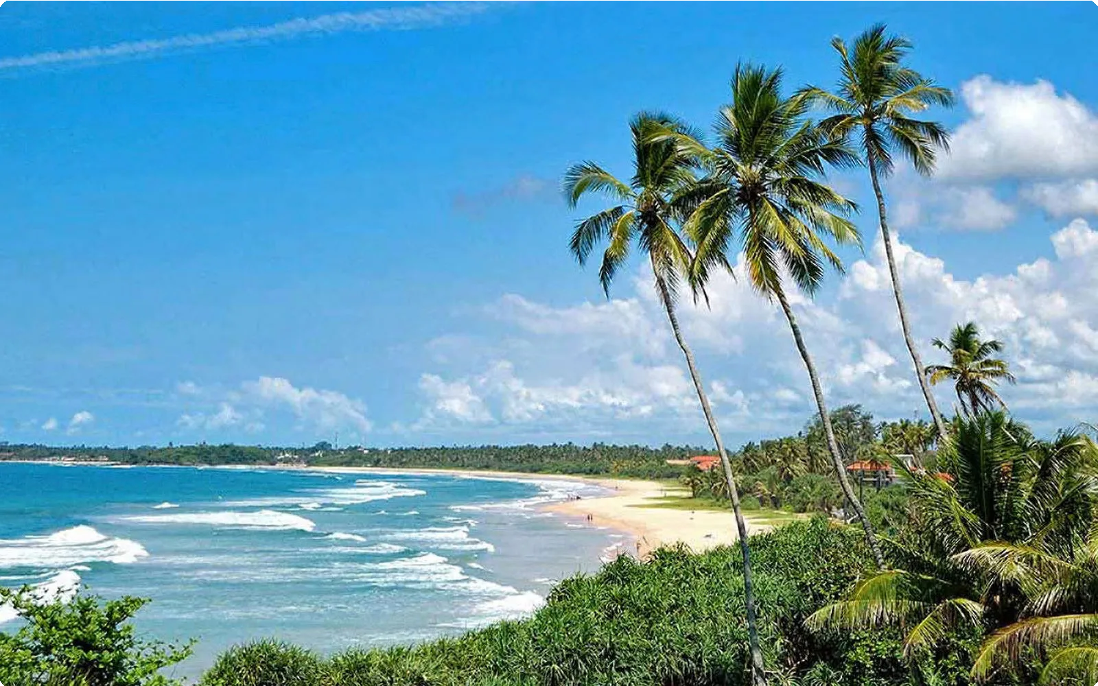 Sri Lanka 24