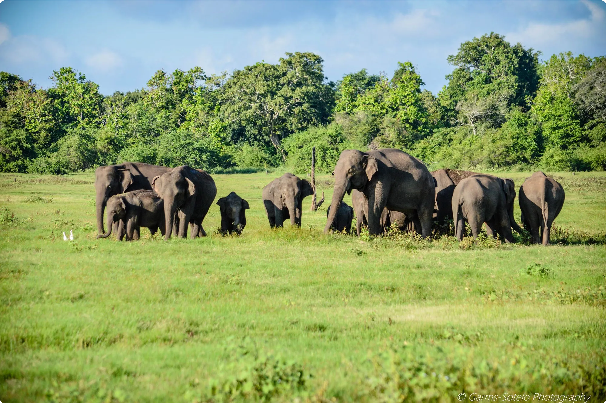 Sri Lanka 28