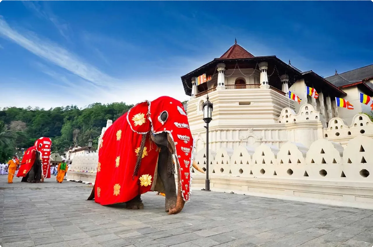 Sri Lanka 31