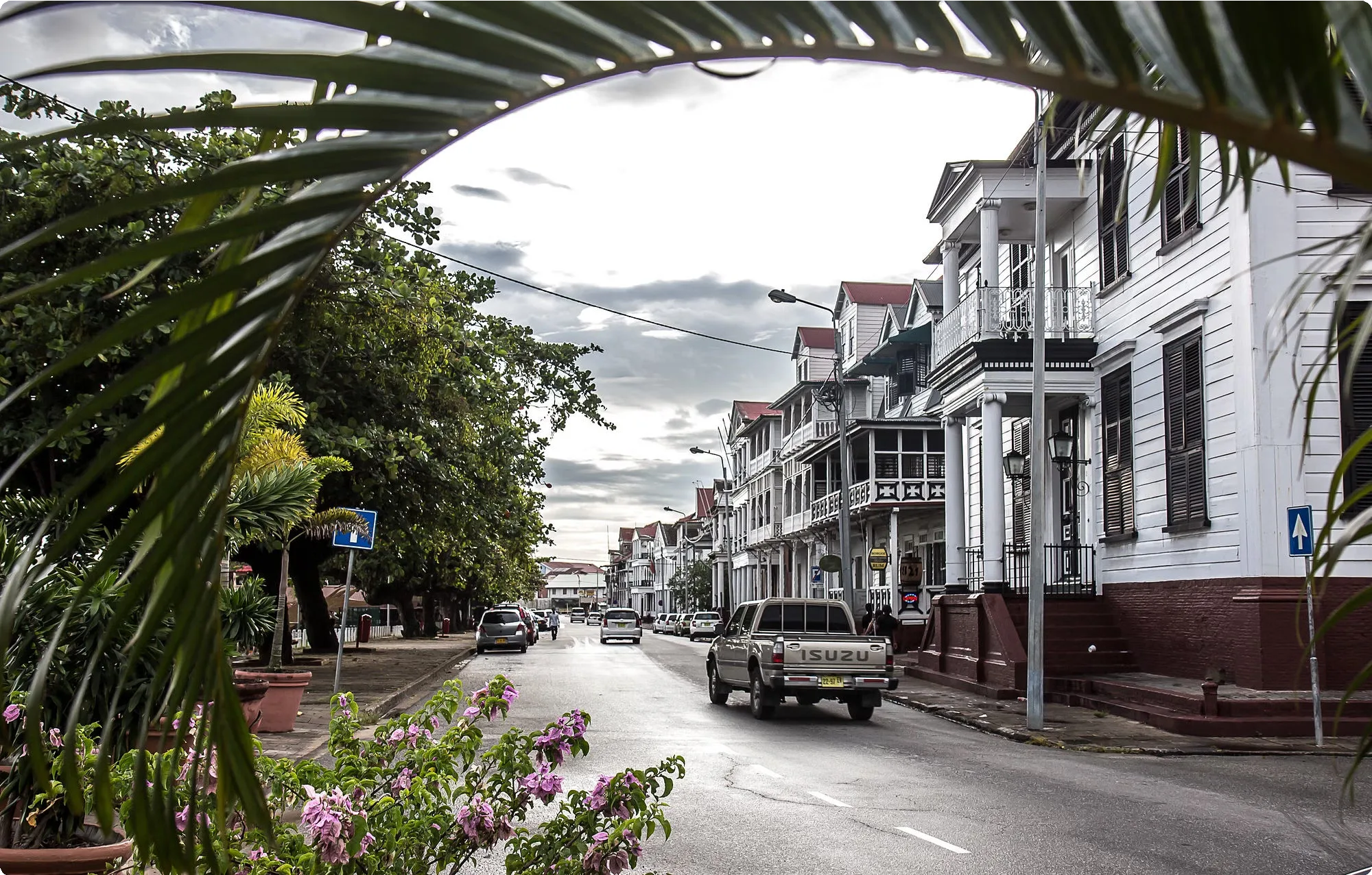 Suriname 11