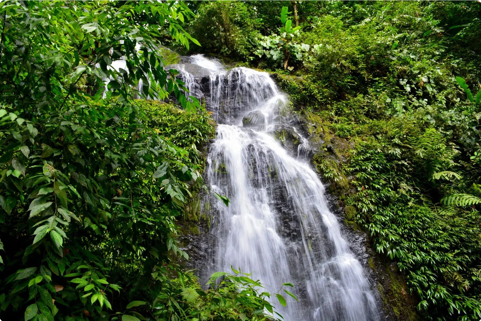 Suriname 16