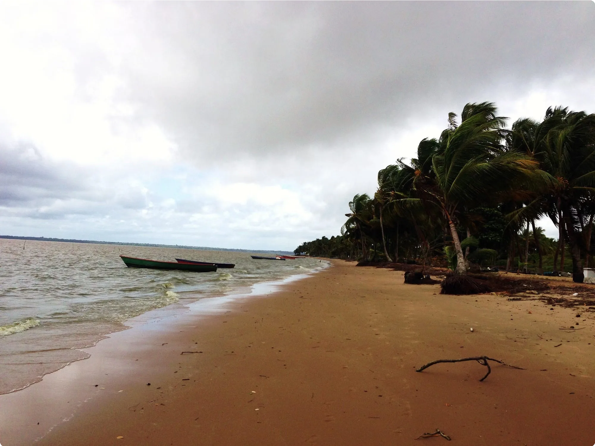 Suriname 18