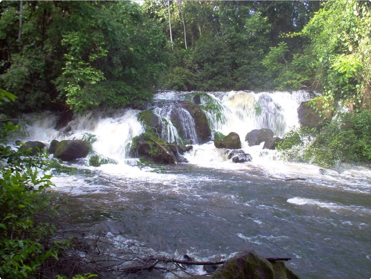 Suriname 19