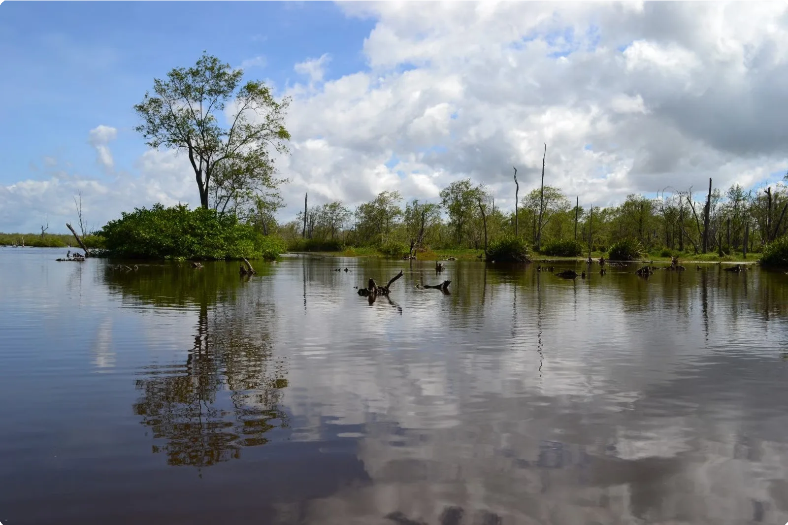 Suriname 20