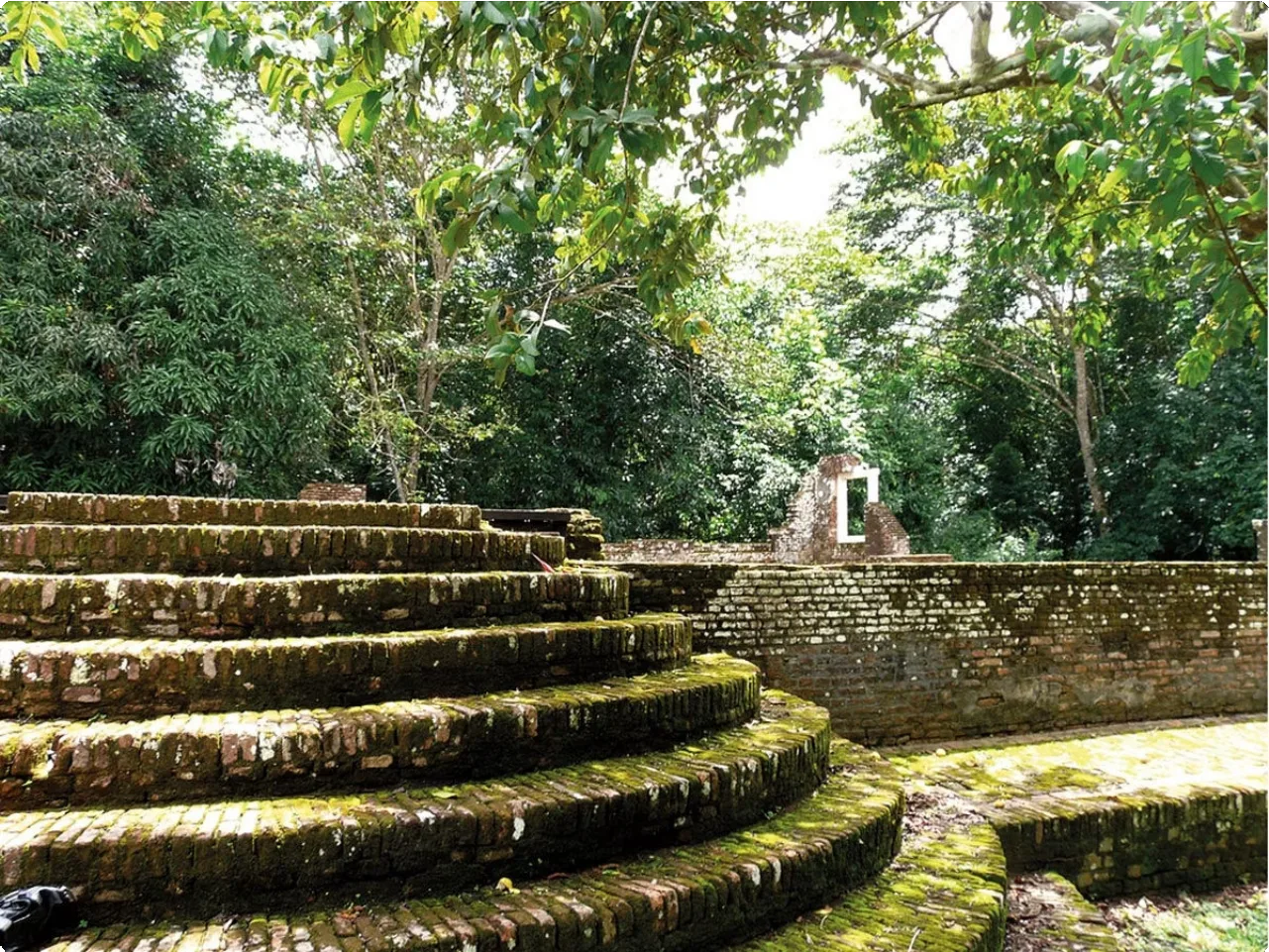 Suriname 22