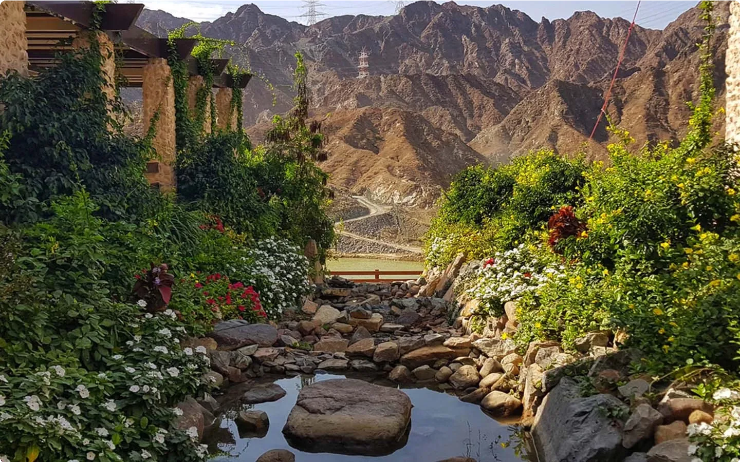 United Arab Emirates 14