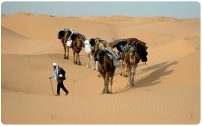 Algeria 14