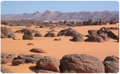 Algeria 15