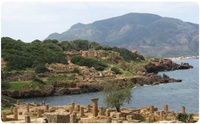 Algeria 19