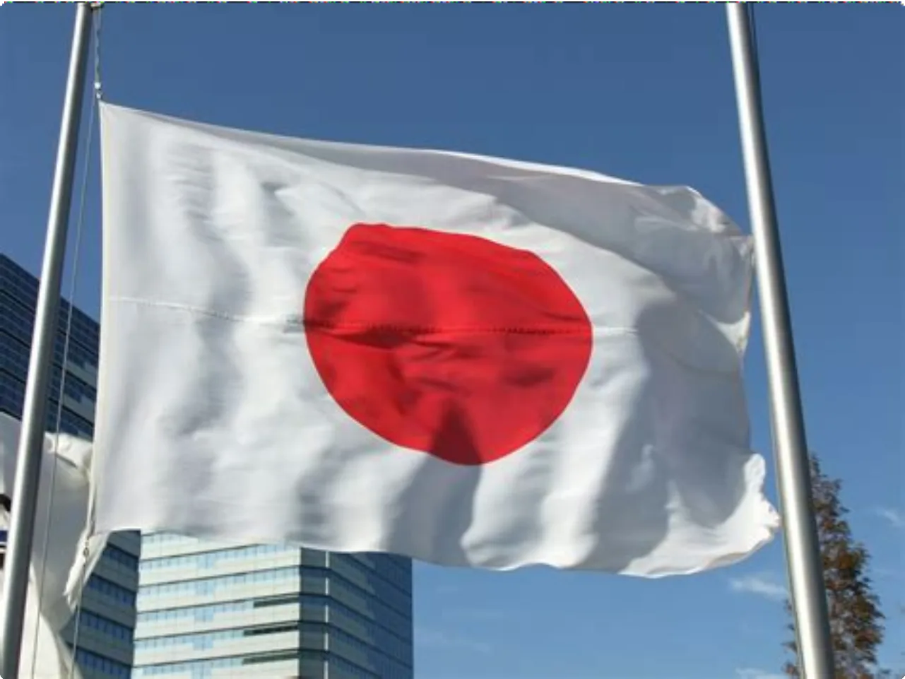 Japan 2 Japan flag