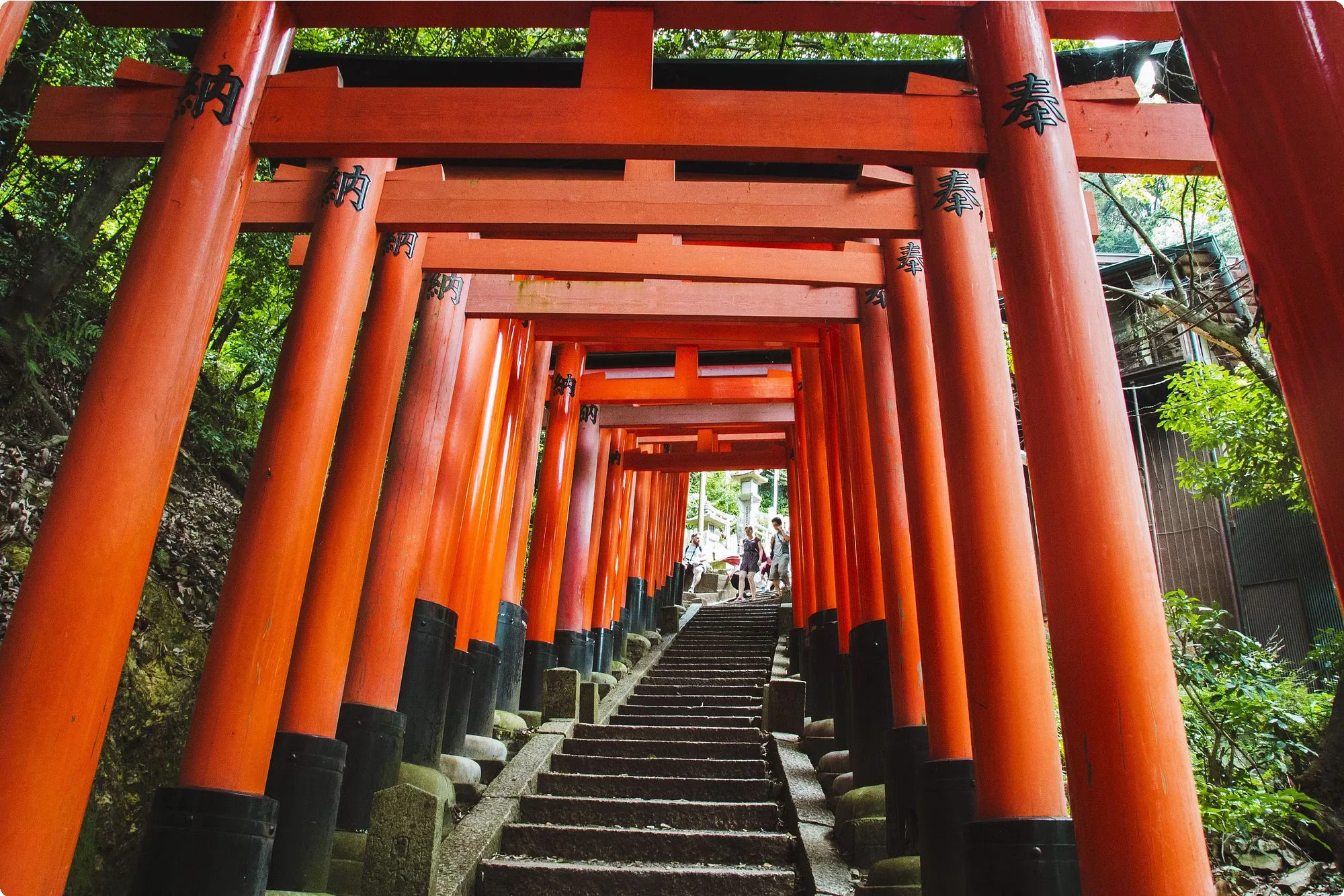 Japan 20