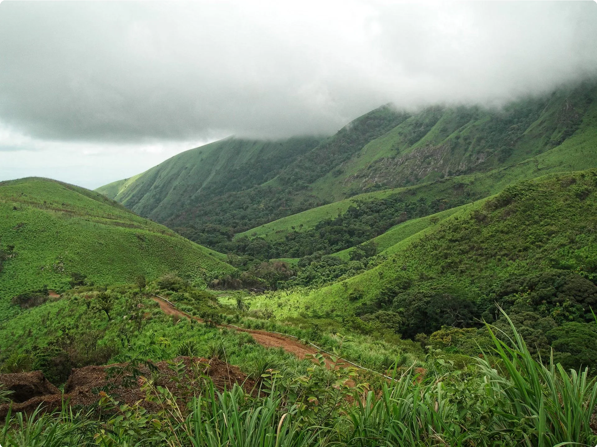 Liberia 12