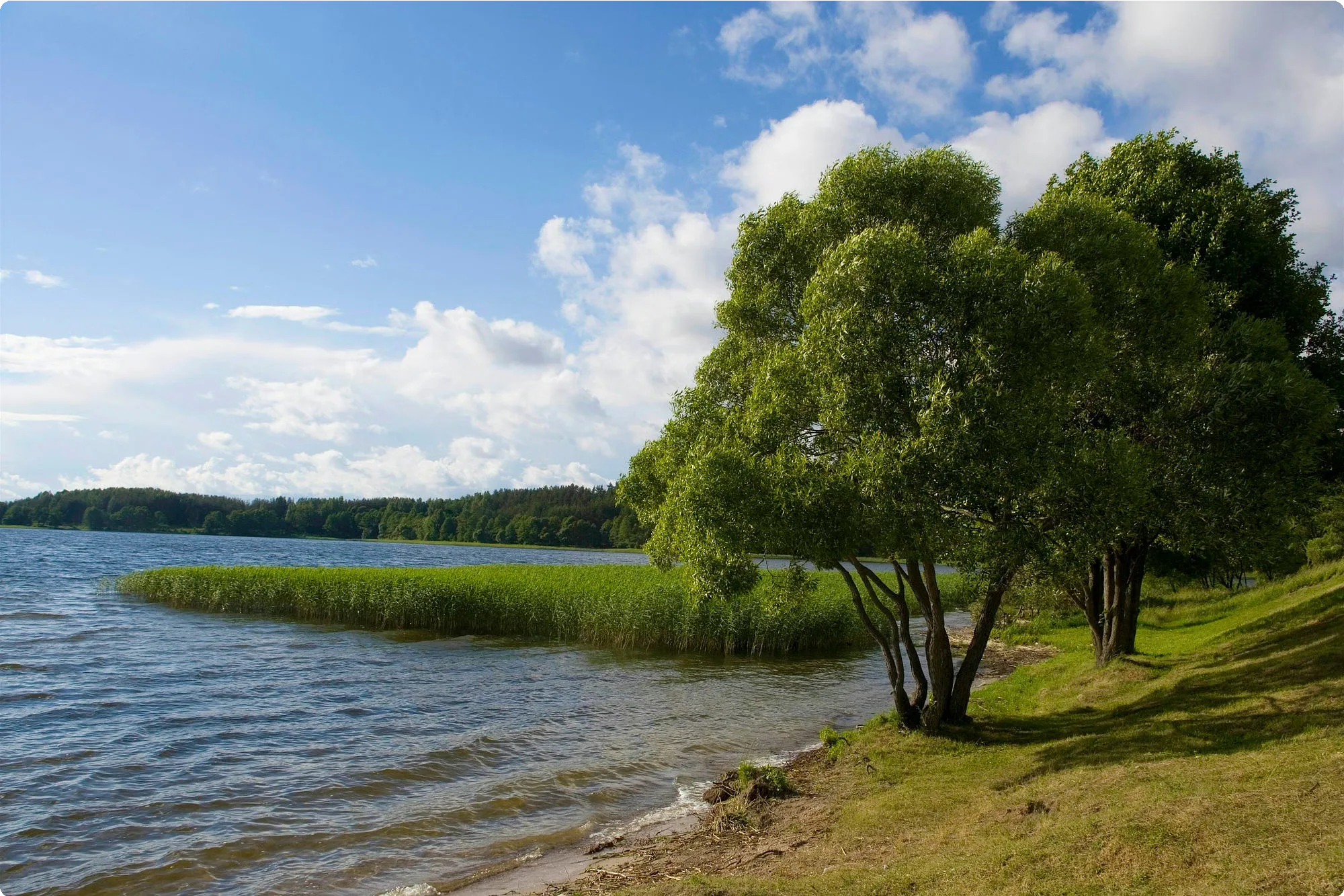 Lithuania 20